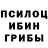 Галлюциногенные грибы мицелий CrashOut